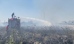 Diyarbakır'da tarım alanlarında yangın alarmı