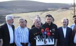 Diyarbakır'da 8 bin Mardin'de 7 bin dönüm arazi kül oldu