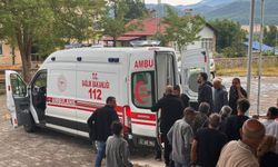 Tunceli’de hayvanlarını otlatan 2 kişinin üzerine yıldırım düştü