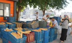 Belediye ücretsiz ekmek hizmeti başlattı