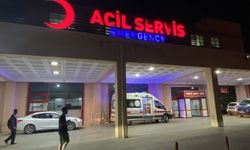 Diyarbakır’da minibüs samanlığa girdi: 5 yaralı