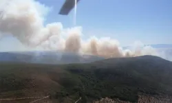 Çeşme'de orman yangını: 3 ölü