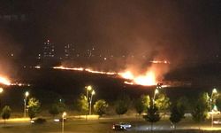 Diyarbakır’da çeşitli noktalarda büyük yangın!