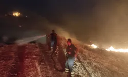Diyarbakır’da örtü yangını çıktı