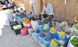 Sanatın dört bir yanı: Etkinlikler haftası