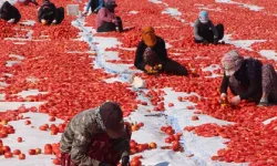 Diyarbakır’da kadın işçiler zorlu şartlarda yarı fiyatına çalışıyor