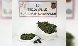 Bingöl’de uyuşturucu operasyonu