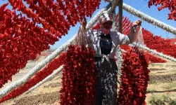 Bölgede kurutmalık sezonu başladı, ortaya renk cümbüşü çıktı