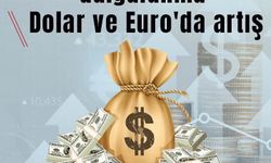 Döviz piyasasında dalgalanma: Dolar ve Euro'da artış