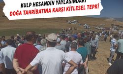 Kulp Hesandin yaylasındaki doğa tahribatına karşı kitlesel tepki