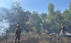 Tunceli'de ormanlık alanda yangın