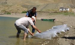 Van’da binlerce yavru sazan göllere bırakıldı