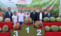 14. Diyarbakır Karpuz Festivali'nde 48.7 kiloluk karpuz birinci oldu!