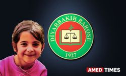 Diyarbakır Barosu Adli Tıp Raporu'nun detaylarını paylaştı