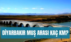 Diyarbakır Muş Arası Kaç Km? Otobüsle, Arabayla Kaç Saat? Detaylar…