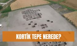 Körtik Tepe Nerede? Körtik Tepe'den Çıkan Buluntular ve Tarihi…