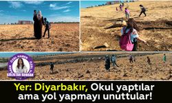 Yer: Diyarbakır, okul yaptılar ama yol yapmayı unuttular!