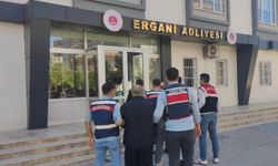 Diyarbakır’da 17 yaşındaki Demet’i yaylım ateşiyle öldürenler 15 yıl sonra yakalandı