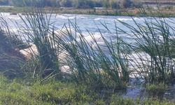 Dicle Nehri’nde kirlilik alarmı! Sular beyaz köpük içinde