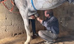 Şanlıurfa’da yüzyıllık meslek yok olma tehlikesiyle karşı karşıya