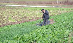 8 bin yıllık Hevsel Bahçeleri’nde üretim sezonu kapanıyor