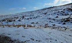 Bitlis’in Kışkılı Köyü’ne kar yağdı