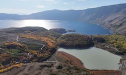 Bitlis’te ayı saldırıları nedeniyle Nemrut Gölü'nde ziyaretçi girişi yasaklandı