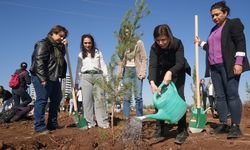 Diyarbakır’da kadınlar için umut: 80 fidan şiddete karşı dikildi