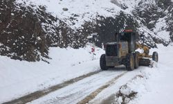 Diyarbakır’da kar nedeniyle kapanan köy yolları ulaşıma açıldı