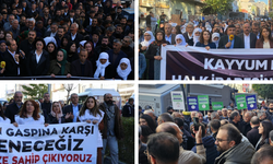 DEM Parti İnsan Hakları Komisyonu’ndan kayyım darbesi ve işkenceye karşı tepki