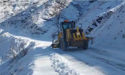 Diyarbakır'da kar nedeniyle kapanan yollar kısa sürede açıldı