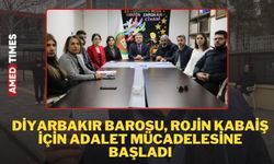 Diyarbakır Barosu, Rojin Kabaiş için adalet mücadelesine başladı