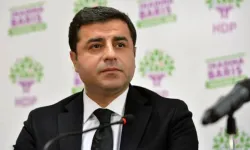 Demirtaş: Bebekler boğulurken sorumluluk kimseye ait değil