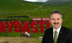 AK Partili belediye başkanı, yeğenini başkan yardımcısı yaptı