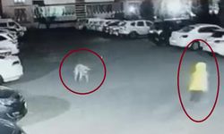 Diyarbakır’da kadın ve çocuk köpek saldırısına uğradı! O anlar kamerada