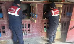 Yasa dışı horoz dövüşüne dev ceza: 3 kişiye 31.155 TL!