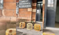 Bitlis'te yasadışı avcılık: 64 bin TL ceza uygulandı
