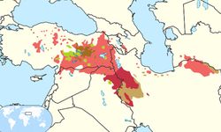 Kürtçe en çok hangi ülkelerde konuşuluyor? İşte coğrafi dağılımı