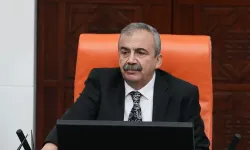 DEM Parti, Önder’e yönelik suikast girişimi iddialarını doğruladı