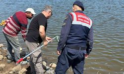 Diyarbakır'da balık ölümleri nedeniyle inceleme başlatıldı