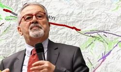 Naci Görür: Yedisu Fayı'nın eli kulağında