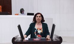 Sevilay Çelenk’ten Emekçiler için kritik soru önergesi