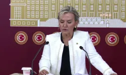 CHP, hayvanlar için komisyon kurdu
