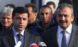 Demirtaş’tan Önder’e son selam: "Şah Turna" şarkısı yayınlandı