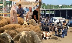 Diyarbakır Hayvan pazarları ve hayvan kesim alanları nerede?