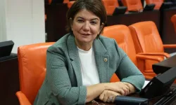 Diyarbakır vekili Kepolu: Yeni anayasada Kürtlerin adı geçecek