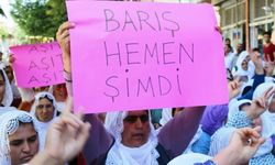 Kadınların barış süreçlerine eşit katılımı için araştırma talebi