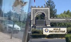 Dicle Üniversitesi'nden "Kampüs Tacizcisi" açıklaması