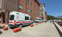 Kene ısırığı 1 buçuk yaşındaki çocuğu hayattan kopardı