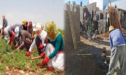 Kürt halkı en fazla hangi meslekte istihdam sağlıyor?